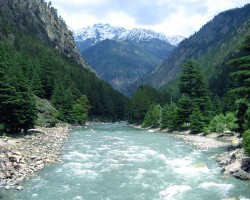 Kaudiiliya
